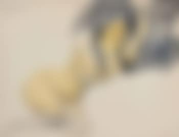 Repose (preview)