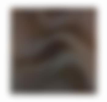 Flute (preview)