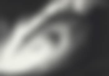 Untitled (Phoenix) (preview)