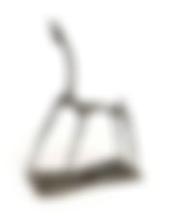 Piccolo cavallo filiforme (preview)
