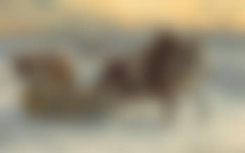The sleigh ride (preview)