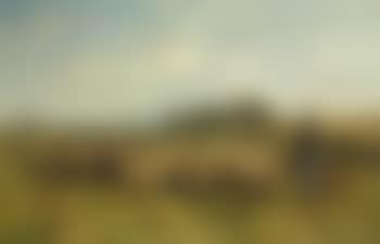 A shepherdess with her flock (preview)