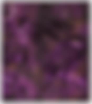Untitled (Sk-ct) (preview)