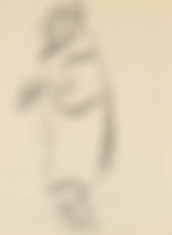 Woman In An Evening Gown (preview)