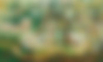 Paradise (preview)