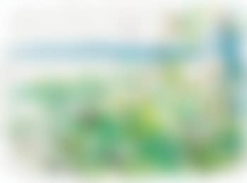 Sans Titre (preview)
