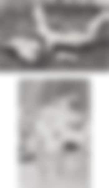 Two works: i) Untitled (#342); ii) Untitled (#349) (preview)