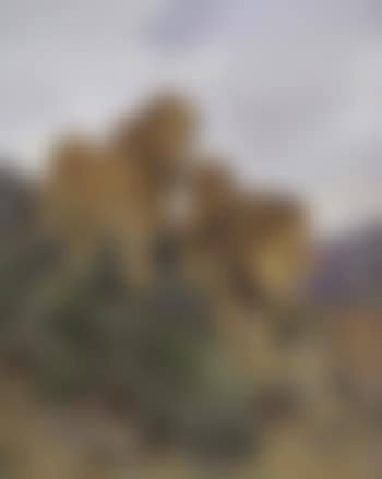 Three Lions Walking Down a Rocky Hillside (preview)