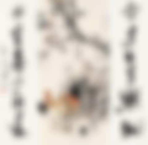 Cock and chicken (preview)
