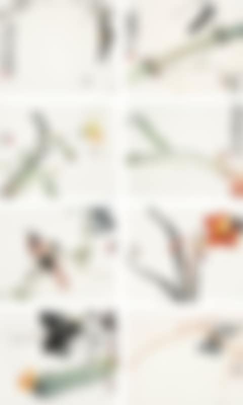 Various subjects (preview)