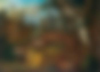 Two foxes in a wooded landscape (preview)