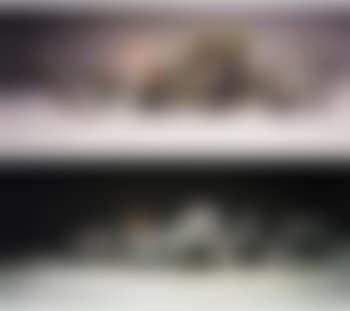 Ethereal Beauty And Auspicious Snow (Two Works) (preview)