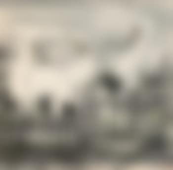 Four Egrets (preview)