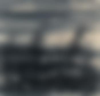 Wild Geese Over Reeds (preview)