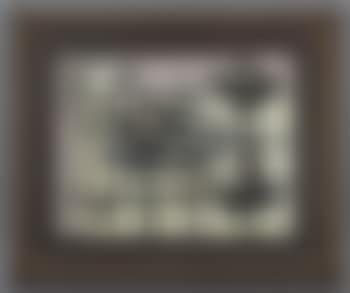 Nature morte (preview)