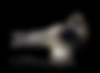 Pigeon Bruges (preview)