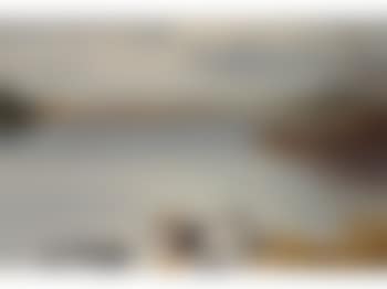 Pintail (preview)