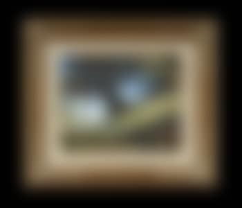 Oak (preview)