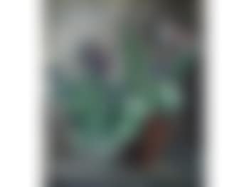 A jug of tulips (preview)