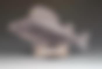 Perche (preview)