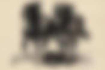 Zwei Ackerpferde (preview)