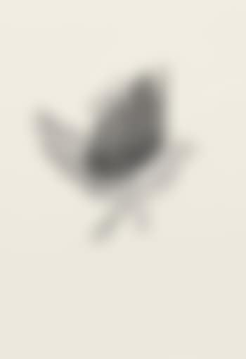 Bird (preview)