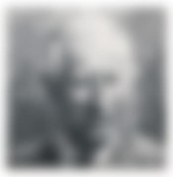 Portrait Of The Prince Of Wales (preview)