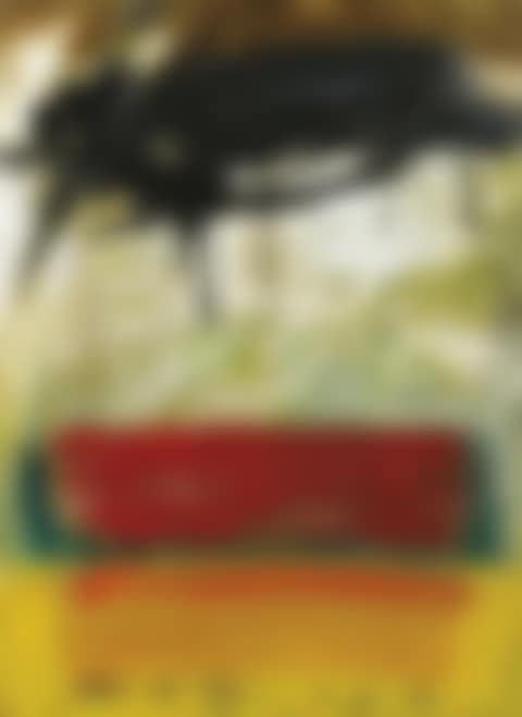 Untitled 92 (III) (preview)