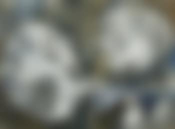 Compositie - Zonder titel (preview)