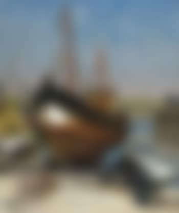 Boten op het droge (preview)