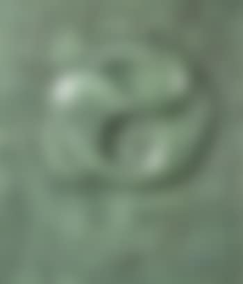 Universal Harmony (preview)