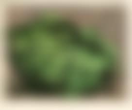 Mayakovsky head (green) (preview)