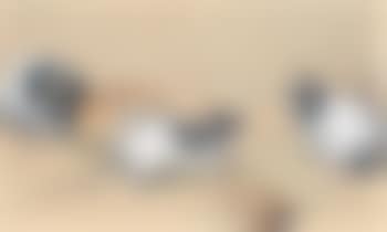Mice (preview)