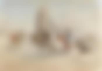 A Roman chariot race (preview)