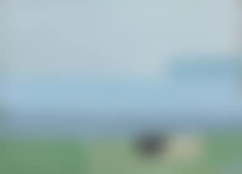 Paysage (preview)