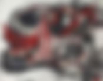 Screaming animal (preview)
