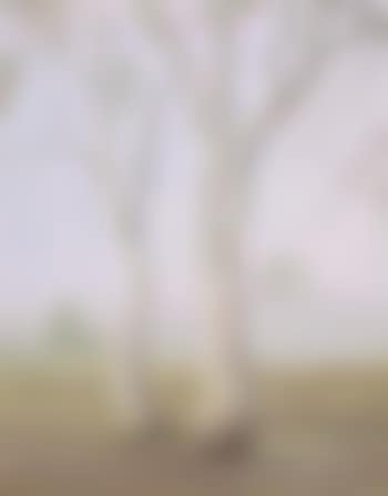 Purple Mists (preview)