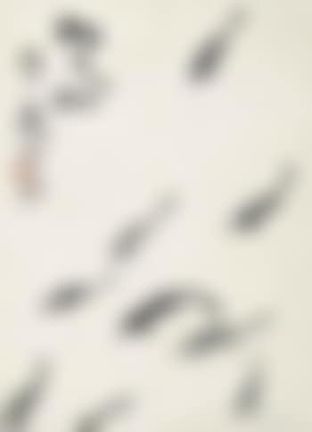 Nine Fish (preview)