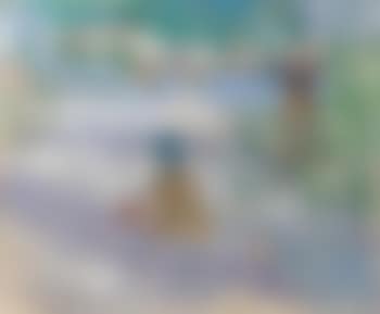 Plage De Nice (preview)