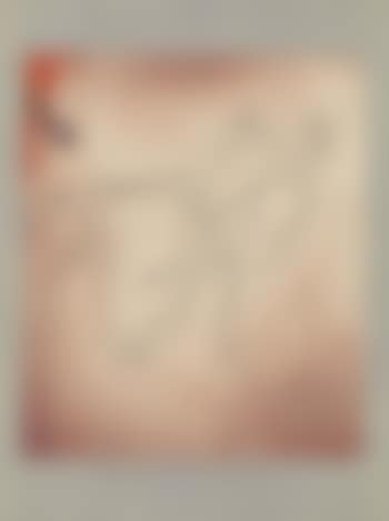 Pferd und Mann (preview)