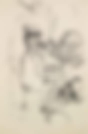 Biertrinker (preview)