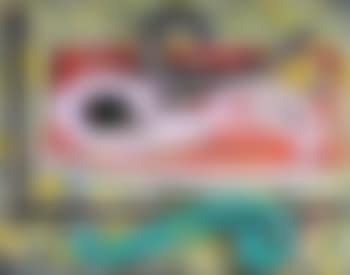 Eskimo Curlew (3X) (preview)