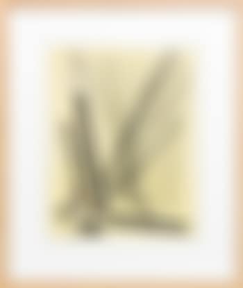 Gravure 7 (preview)