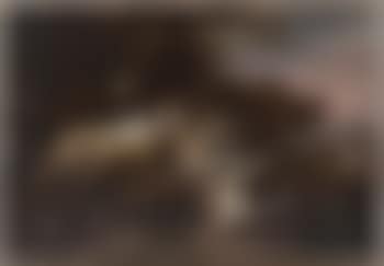 Hounds bringing down a boar (preview)