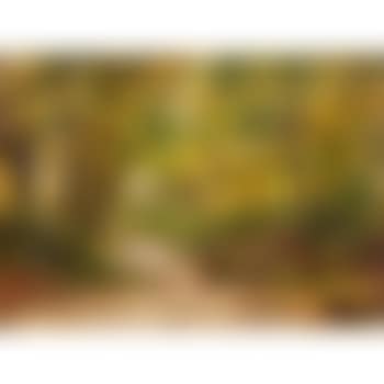 Le Parc Monceau (preview)
