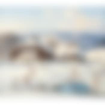 In Bernau (preview)