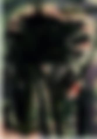 o.T. (preview)