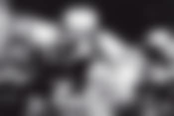 Celebrating because the Brooklyn Dodgers Won the World Series (Two Photographs) (preview)