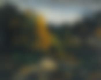 Paysage (preview)