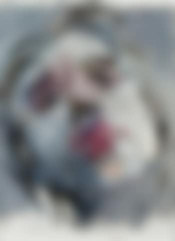 Tête (preview)